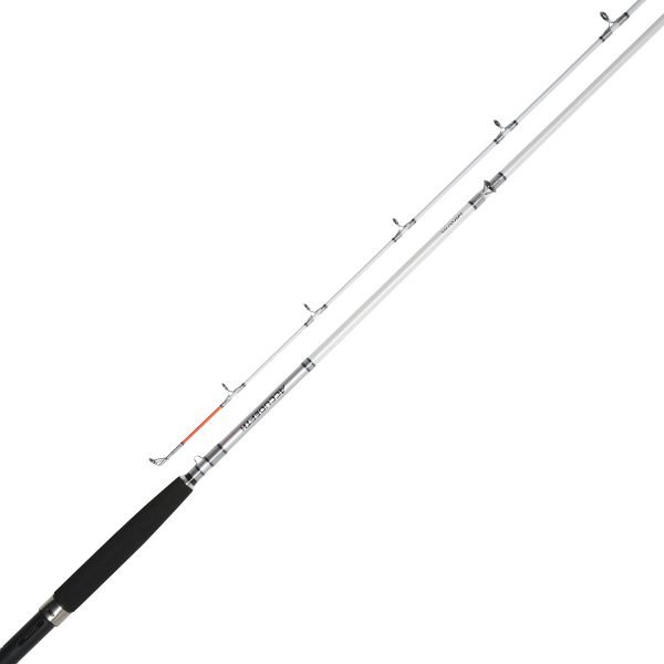 Daiwa Accudepth Trolling Vetouisteluvapa