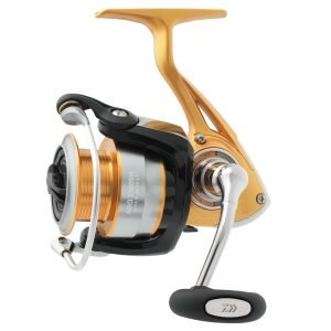 Daiwa Aird Avokela